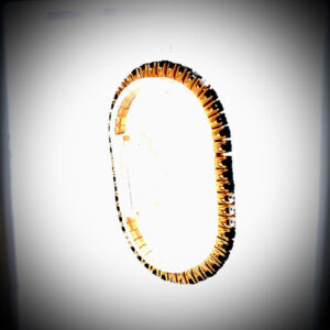 Bracelet Di Lenardo & Co. Zurich Design