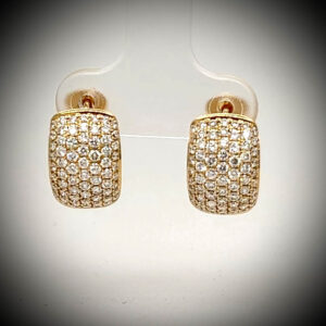 earrings di lenardo